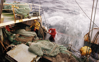 fishing boat at sea